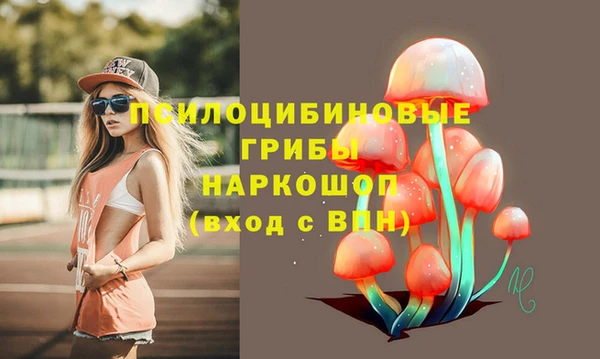 прущий лед Богородицк